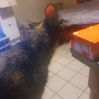 Photo de profil de Maya