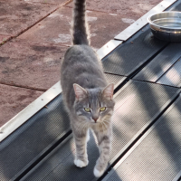 Photo de profil de Titisson 
