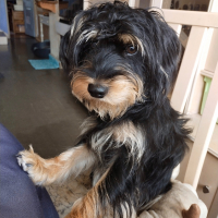 Photo de profil de Scotty