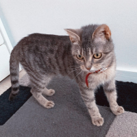 Photo de profil de Athéna