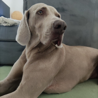 Photo de profil de Isis
