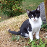 Photo de profil de Ferrer