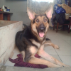 Photo de Zaya