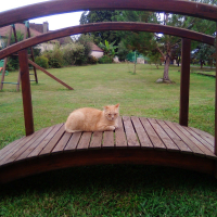 Photo de profil de Noisette
