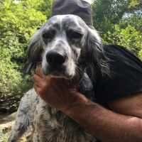 Photo de profil de Una