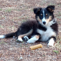 Photo de profil de Titou