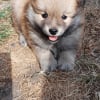 Photo de Eros