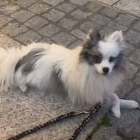 Photo de profil de SAMUEL 