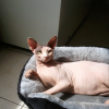 Photo de fungy,