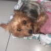 Photo de Indye