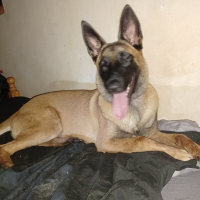 Photo de profil de Youta