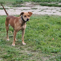 Photo de profil de Médoc