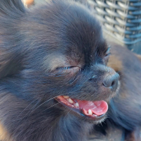 Photo de profil de Rosie