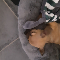 Photo de profil de Aria