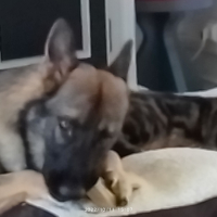 Photo de profil de Spyck