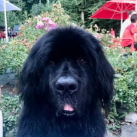 Photo de profil de Malo