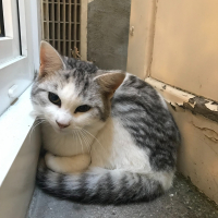Photo de profil de Tiango