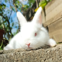 Photo de profil de Neige