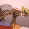 Photo de Mitsy 
