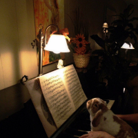 Photo de profil de Sniffy