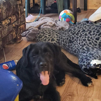 Photo de profil de Garçon