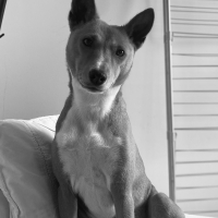 Photo de profil de Nayia