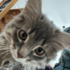 Photo de Gilbert