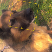 Photo de profil de Laïf 