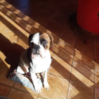 Photo de profil de Carlos