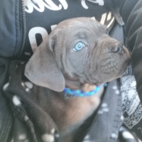 Photo de profil de Angus