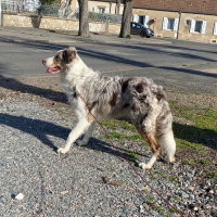 Photo de profil de Sayko