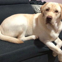 Photo de profil de Tango 