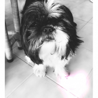 Photo de profil de Aria