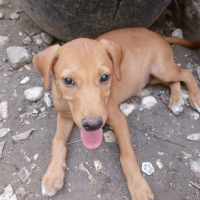 Photo de profil de Spark