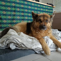 Photo de profil de Skyla