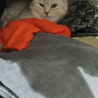 Photo de profil de Milly