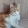 Photo de Joli