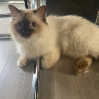 Photo de profil de Leroy