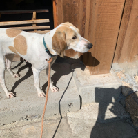 Photo de profil de rita