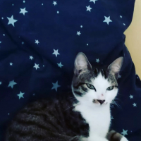 Photo de profil de Freya 