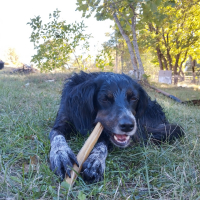 Photo de profil de Lamie