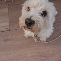 Photo de profil de Lili