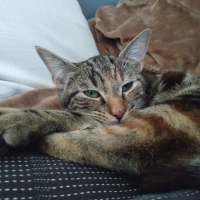 Photo de profil de Sioux 
