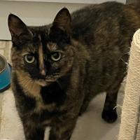 Photo de profil de Tania