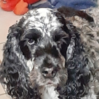 Photo de profil de MULANE