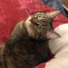 Photo de Freya , Européen