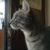 Photo de BIJOU