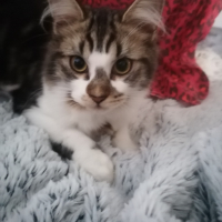 Photo de profil de Mimie