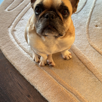 Photo de profil de Rinho