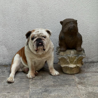 Photo de profil de Georges